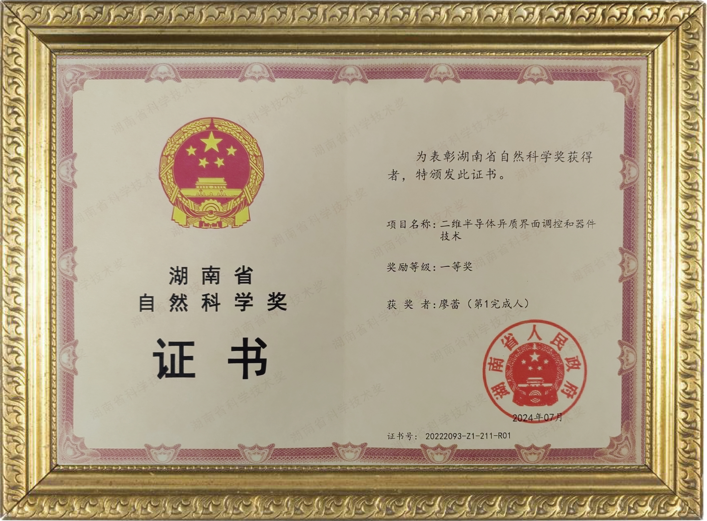 湖南省自然科学奖一等奖